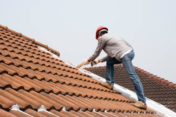 Best Roof Repair  in Lacon, IL