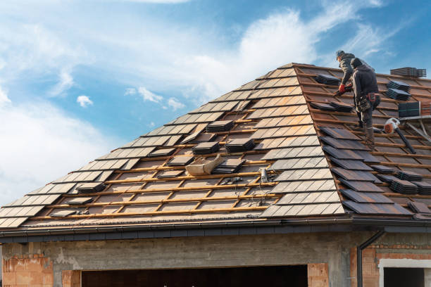 Best Roof Insulation Installation  in Lacon, IL