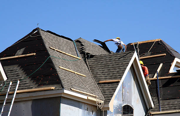 Best Roof Ventilation Installation  in Lacon, IL